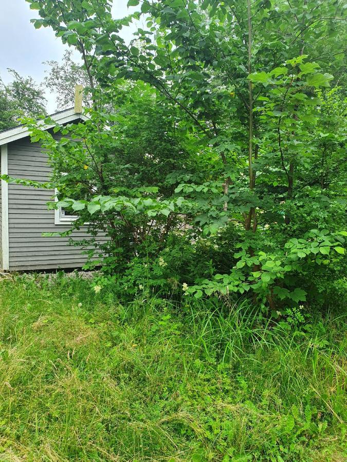 Skogsbaeckens Stugby Ab Villa Tomelilla Exterior foto